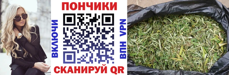 Купить закладки  Фролово  МАРИХУАНА Amnesia 